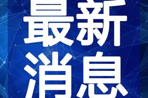 王六堡爆料视频最新,事件背后惊人真相