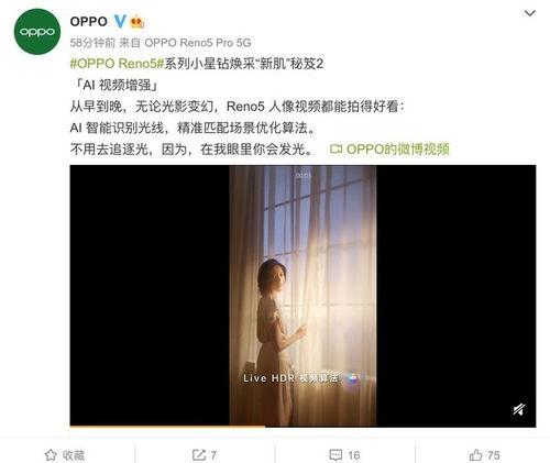 网曝爆料视频大全最新,揭秘网络热点事件背后的真相