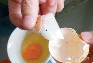 鸡蛋壳最新爆料
